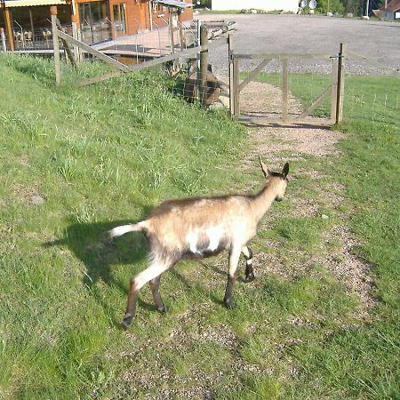 Les Gites De La Bergerie Xonrupt-Longemer Buitenkant foto