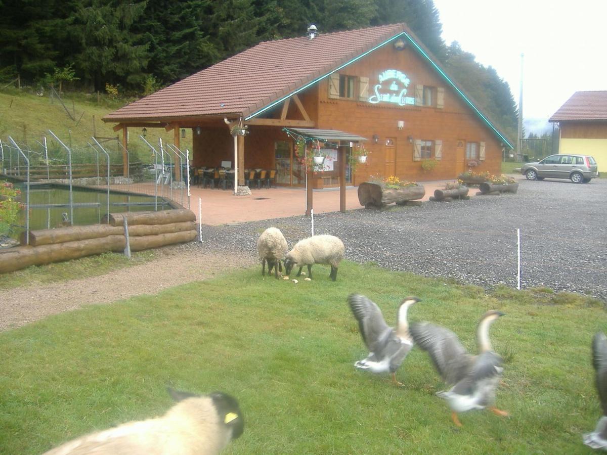Les Gites De La Bergerie Xonrupt-Longemer Buitenkant foto